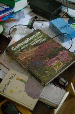 Jean-Paul Pastor Guzmán