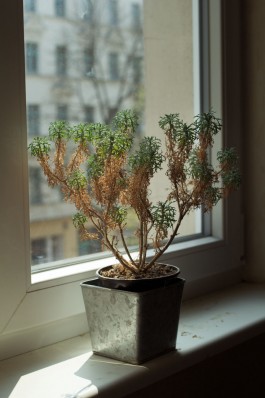 Jean-Paul Pastor Guzmán