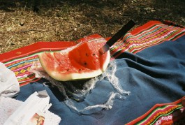 Jean-Paul Pastor Guzmán