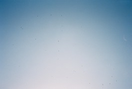 Jean-Paul Pastor Guzmán