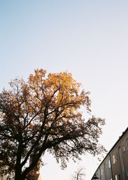 Jean-Paul Pastor Guzmán