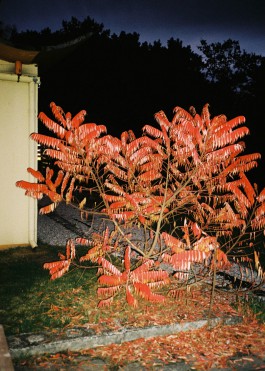 Jean-Paul Pastor Guzmán