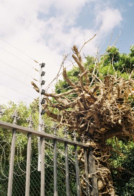 Jean-Paul Pastor Guzmán