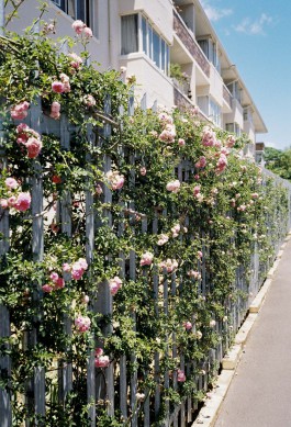 Jean-Paul Pastor Guzmán