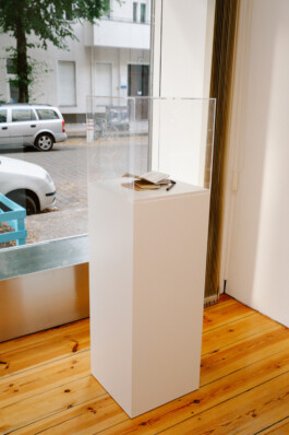 Jean-Paul Pastor Guzmán