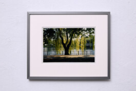 Jean-Paul Pastor Guzmán