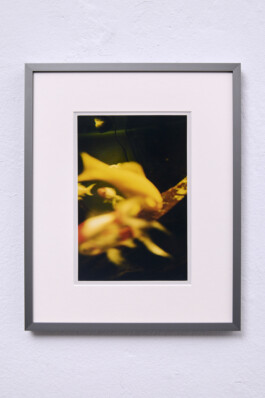 Jean-Paul Pastor Guzmán