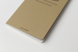 Jean-Paul Pastor Guzmán