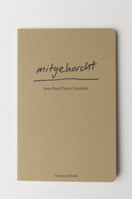 Jean-Paul Pastor Guzmán